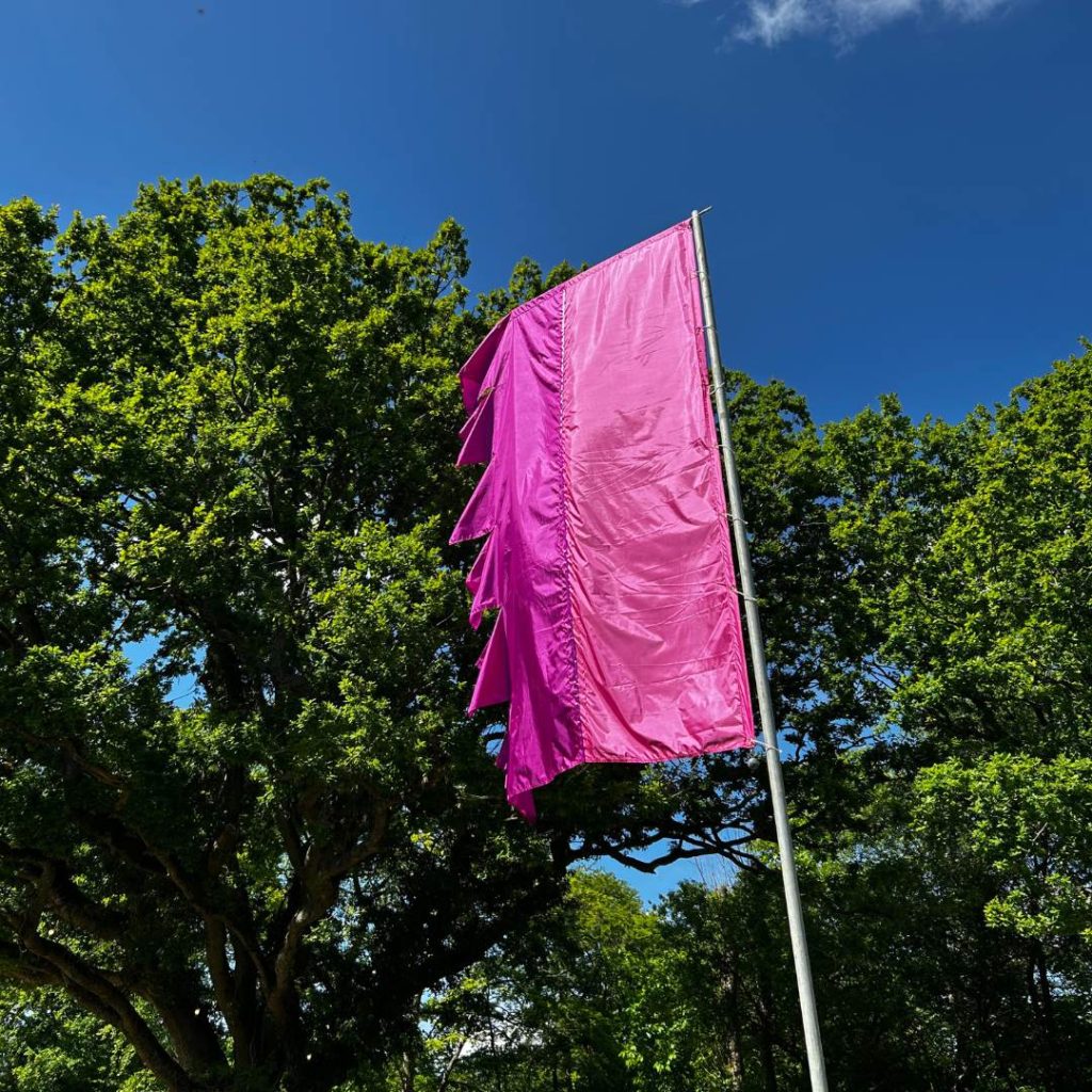 Festival flag