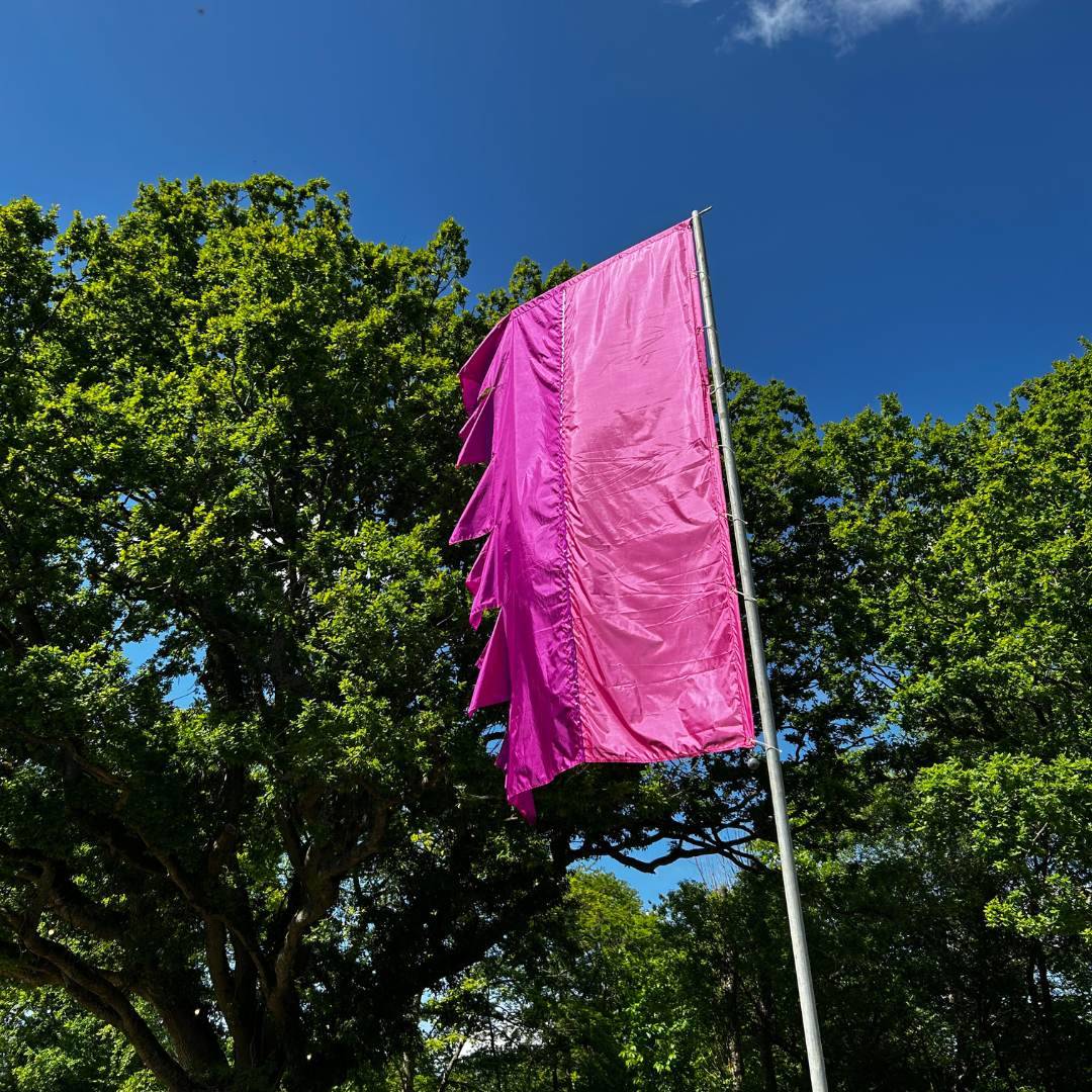 Festival flag