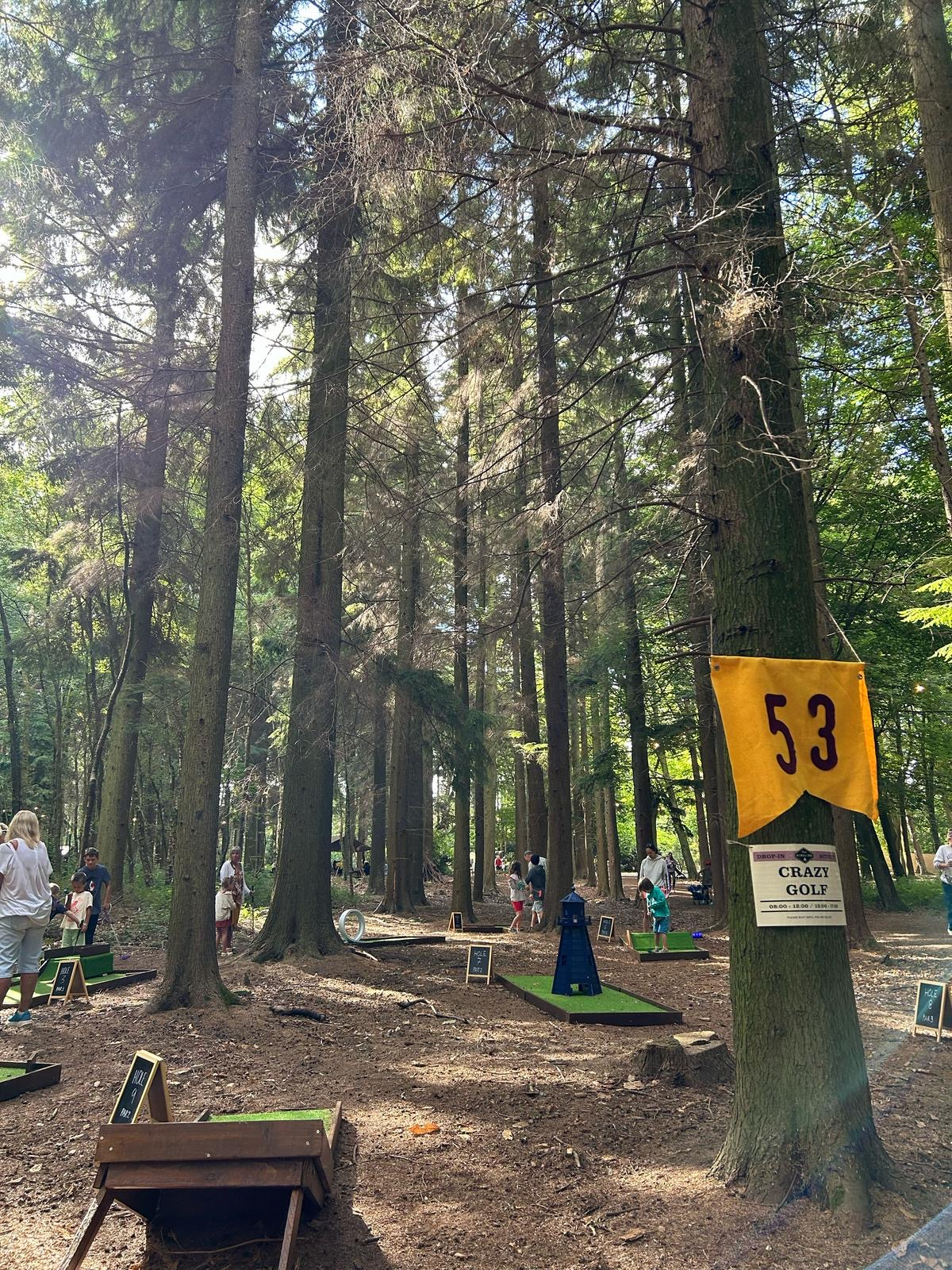 Crazy golf in the woods